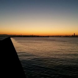 ムコイチ朝マズメ、ボチボチでした。